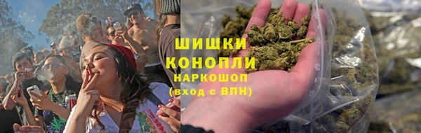 сатива Абинск