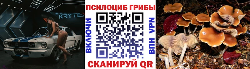 Псилоцибиновые грибы GOLDEN TEACHER  Октябрьский 